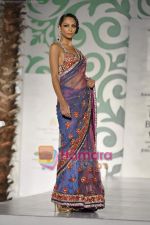 Model walk the ramp for Nisha Sagar for Aamby Valley India Bridal Week 30th Oct 2010 (18).JPG